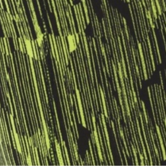 Lululemon Speed Short Down Pour Lime Light / Black size 4 - Picture 2 of 14